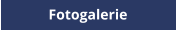 Fotogalerie