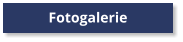 Fotogalerie